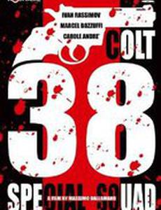 Оружие 38 калибра