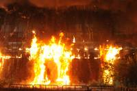 Кадр Добыча