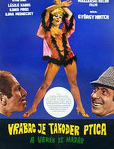 Воробей тоже птица