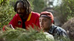 Кадр из фильма "Очень страшное кино 5" - 2