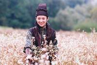 Кадр Дом летающих кинжалов