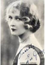 Ив Грэй фото