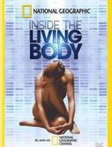 Inside the Living Body