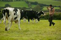 Кадр Тамара и секс