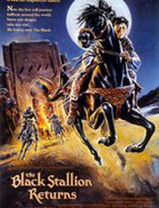 Возвращение черного скакуна