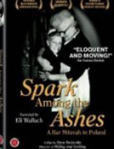 Бар-мицва в Польше