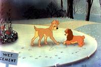 Кадр Леди и бродяга