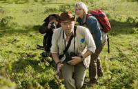 Кадр Неудачные фото редких птиц