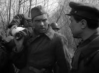 Кадр Летят журавли