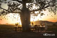 Кадр Австралия