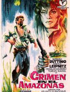 Und der Amazonas schweigt