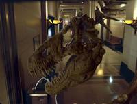 Кадр Ночь в музее