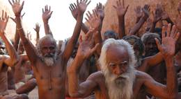 Кадр из фильма "Крик муравьев" - 1