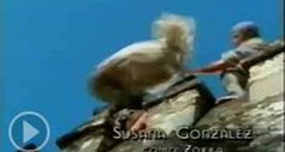 Вступительные титры (сезон 1)