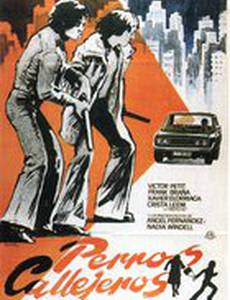 Уличные собаки