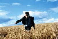 Кадр Крысолов