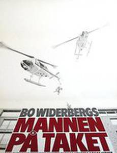 Человек на крыше