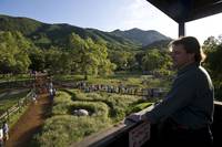 Кадр Мы купили зоопарк