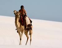 Кадр Царь скорпионов 2: Восхождение воина (видео)