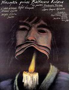 Необыкновенное путешествие Бальтазара Кобера