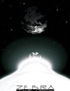 Теория зебры