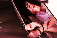 Кадр Вирусный фактор