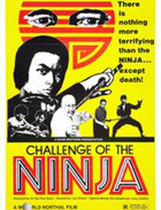 Шаолинь вызывает ниндзя