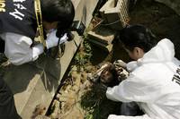 Кадр Семь дней