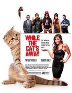 While the Cat's Away