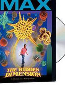 The Hidden Dimension