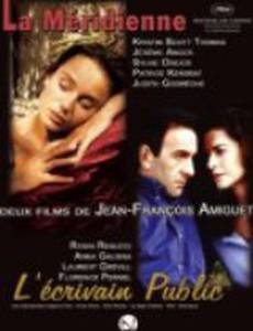 Публичный писатель