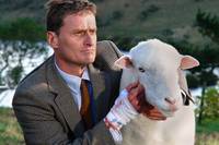 Кадр Паршивая овца