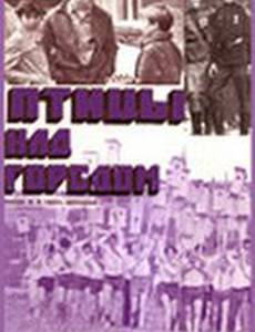 Птицы над городом