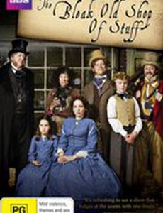 Холодная лавка всякой всячины (мини-сериал)