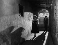 Кадр Летняя пора