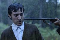 Кадр Лес теней