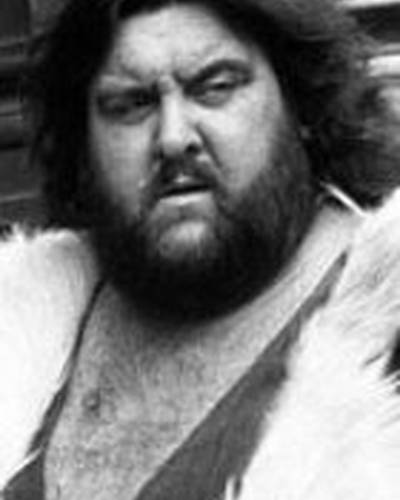 Джиант Хейстэкс фото