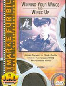 Winning Your Wings