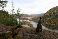 Кадр Сибирь. Монамур