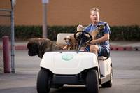 Кадр Город хищниц