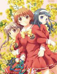 Касимаси: Девушка встречает девушку