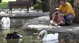 Кадр из фильма "Любовь любит случайности" - 1