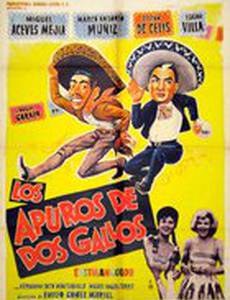 Los apuros de dos gallos