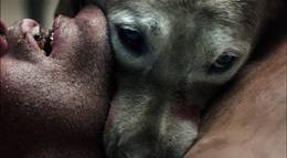 Кадр из фильма "Азбука смерти" - 2