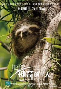 Постер Земля: Один потрясающий день