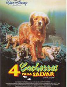 Погоня за Бенджи