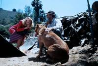 Кадр Потоки любви