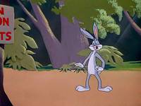 Кадр Кролик из большого дома