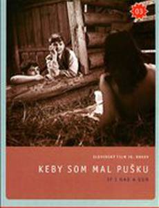 Если бы у меня было ружье