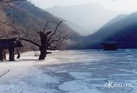 Кадр Весна, лето, осень, зима... и снова весна